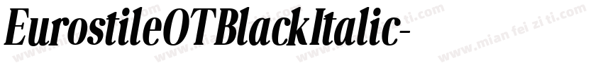 EurostileOT BlackItalic字体转换